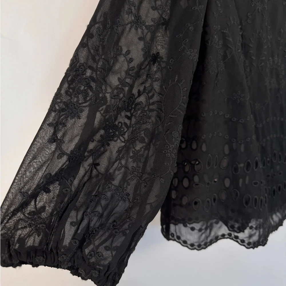 J. Crew Sheer Lace Embroidered Blouse Women Small Whimsigoth Fairy Dark Feminine